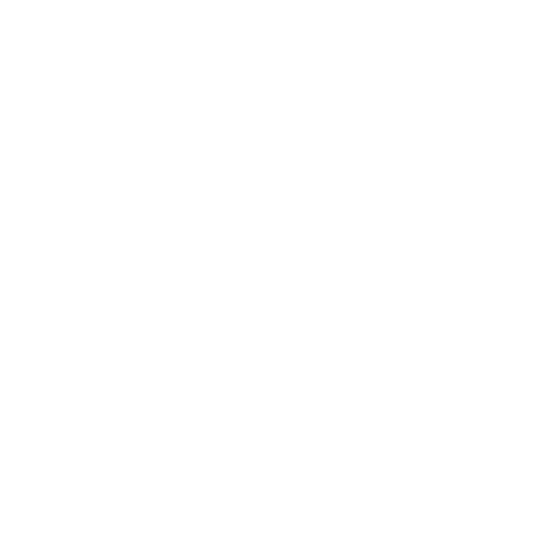 magnifier icon
