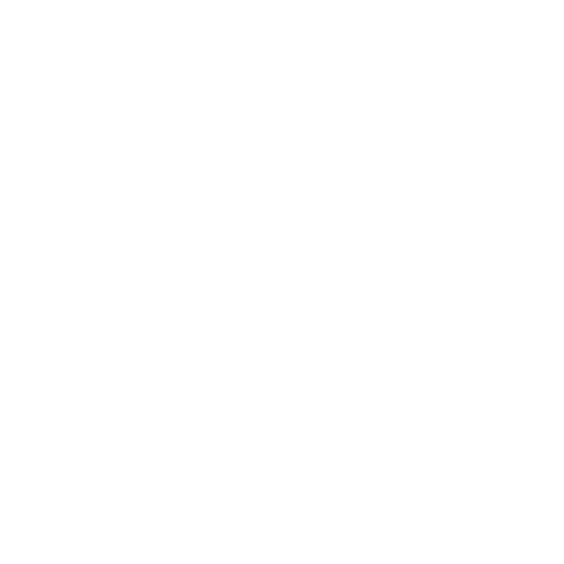stopwatch icon